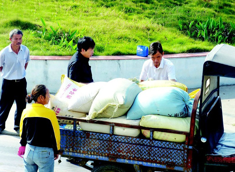 开化粮食银行 收粮