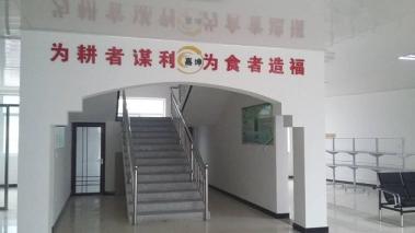 河北保定嘉坤粮行