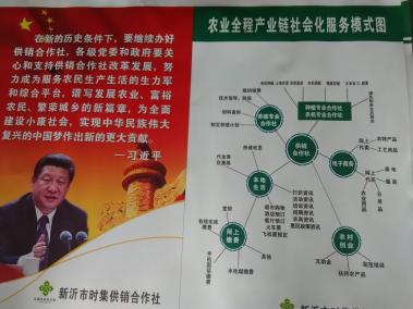 新沂市时集供销合作社农业产业链社会化服务平台