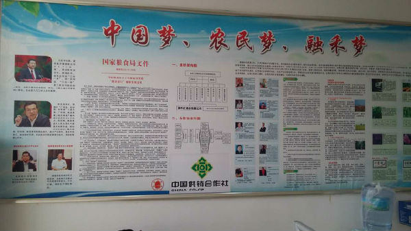 813864845721754131.jpg