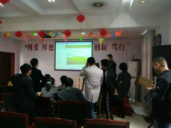 2016040305.jpg