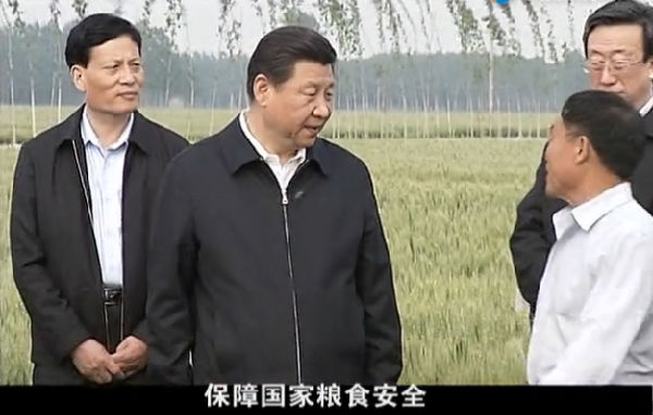 保障国家粮食安全.png